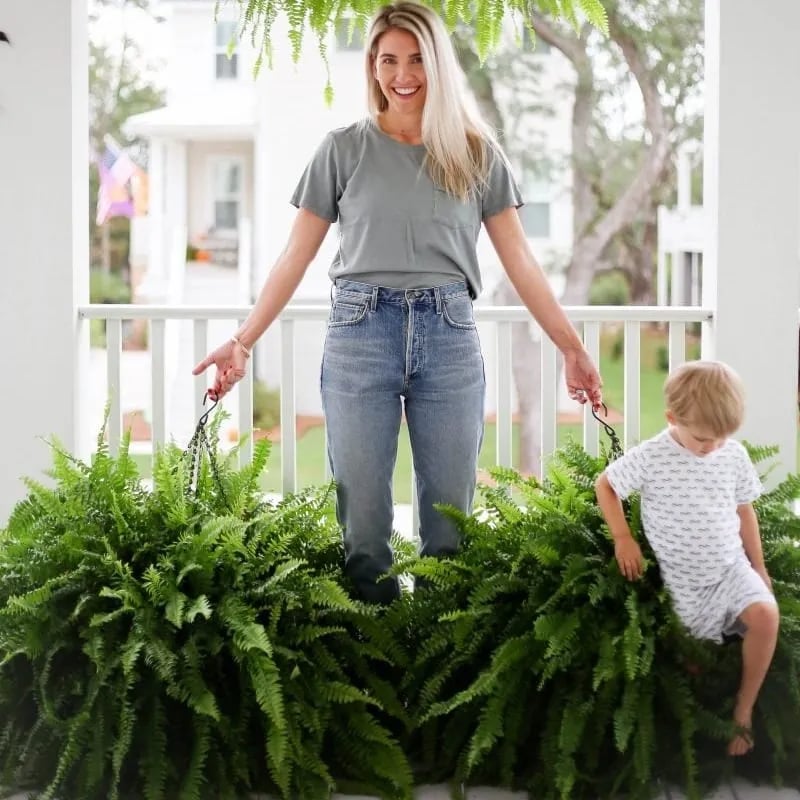 🏆Flash Sale⚡ 50K+ SOLD!🔥🌱 UV-Resistant Lifelike Artificial Boston Fern