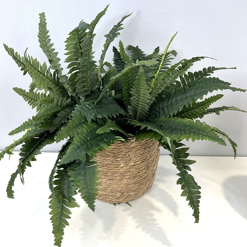 🏆Flash Sale⚡ 50K+ SOLD!🔥🌱 UV-Resistant Lifelike Artificial Boston Fern