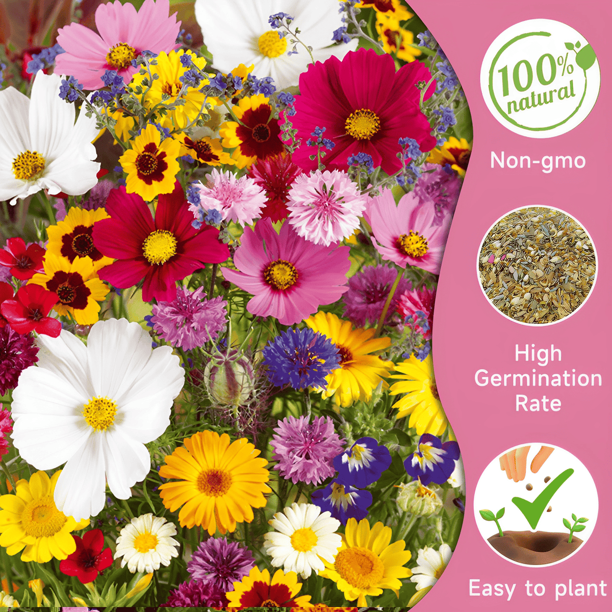🔥🌱Premium Hardy Mixed Perennial Flowers Seeds | Over 20 Varieties | Perfect for Beginners