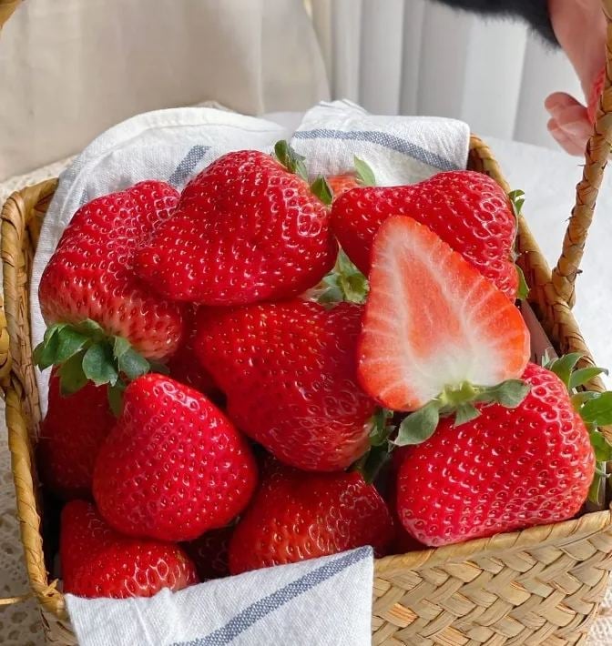 🔥Hot Sale 49% OFF🍓FAll-year-round strawberry seeds