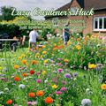 🔥🌱Premium Hardy Mixed Perennial Flowers Seeds | Over 20 Varieties | Perfect for Beginners