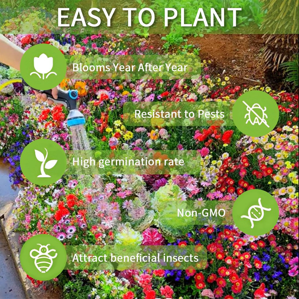 🔥🌱Premium Hardy Mixed Perennial Flowers Seeds | Over 20 Varieties | Perfect for Beginners