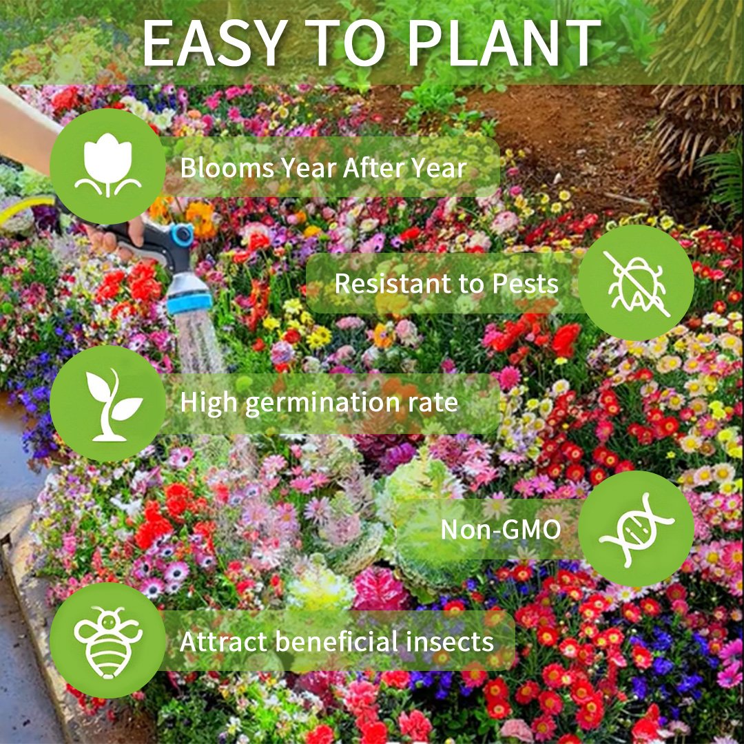 🔥🌱Premium Hardy Mixed Perennial Flowers Seeds | Over 20 Varieties | Perfect for Beginners