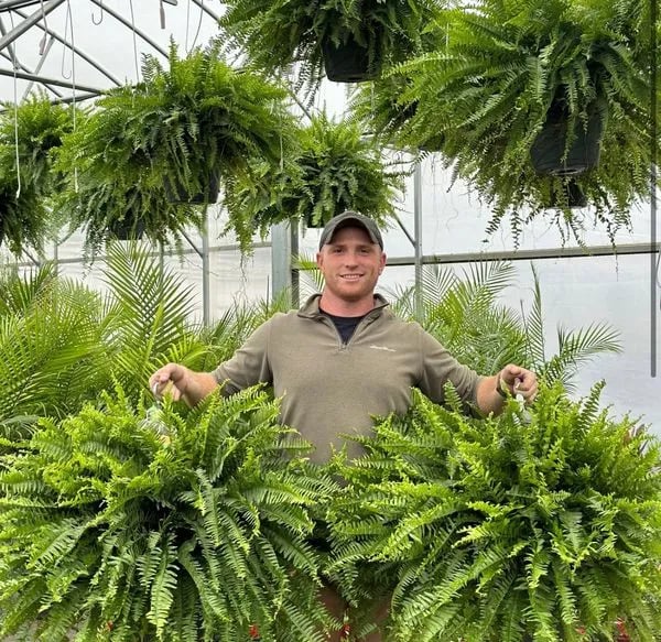 🏆Flash Sale⚡ 50K+ SOLD!🔥🌱 UV-Resistant Lifelike Artificial Boston Fern