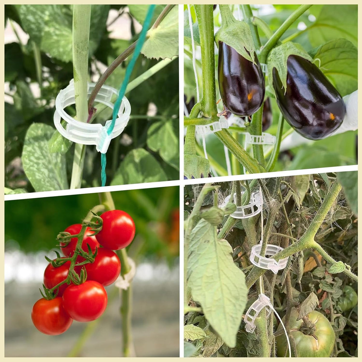 Vegetable Plant Support Clips