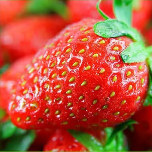 🔥Hot Sale 49% OFF🍓FAll-year-round strawberry seeds